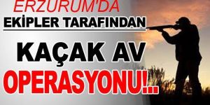 Doğanın yorulmak bilmeyen bekçileri çetin kışta da görevinin başında