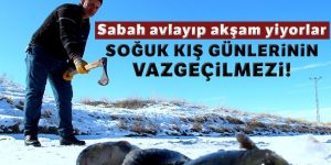 Soğuk kış günlerinin vazgeçilmez aktivitesi: Eskimo usulü balık avı