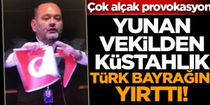 AP'de Yunan milletvekili Türk Bayrağı'nı yırttı!
