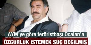 Anayasa Mahkemesi: Öcalan için kampanya suç değil