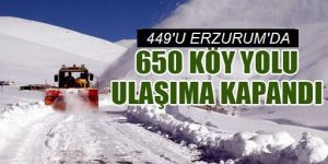 Doğu Anadolu'daki 7 ilde 650  köy ve mahalle yolunda ulaşım sağlanamıyor