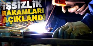 Kasım ayı işsizlik rakamları açıklandı