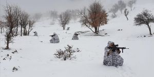 Kapan-6 Zori Operasyonu başladı