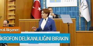 İYİ Parti lideri Meral Akşener: "Mikrofon delikanlılığını bırakın ve gereğini yapın"