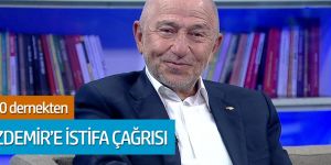 Fenerbahçe Dernekleri, TFF Başkanı Özdemir'i istifaya davet etti