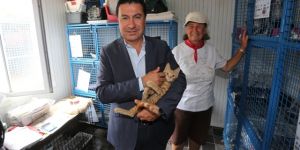 BODRUM'DAKİ 20 KLİNİK 3 AY ÜCRETSİZ HİZMET VERECEK