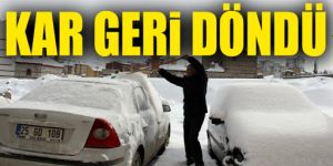 Doğu Anadolu'da kar yağışı etkili oldu