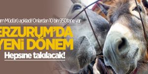 Erzurum'da tek tırnaklılara kimlik çıkarılacak