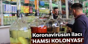 Koronavirüs'ün ilacı hamsi kolonyası