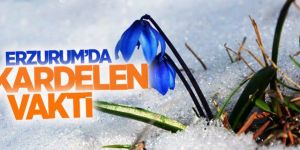 Erzurum’da Kardelen Mevsimi