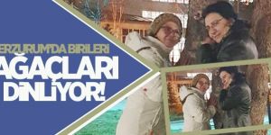 Erzurum'da ağaç dinleme ekibi işbaşında!