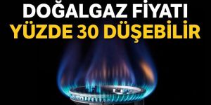 Doğalgaz fiyatı yüzde 30 düşebilir