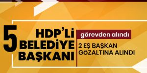 HDP'li Batman, Silvan, Lice, Ergani ve Eğil belediyelerine kayyum atandı