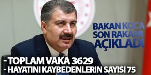Bakan Koca son rakamı açıkladı!