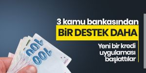 3 kamu bankasından bir destek daha!