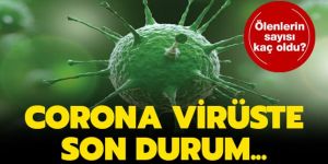Bodrum’da corona virüsünden iki ölüm daha