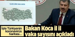 İl il koronavirüs vaka haritası