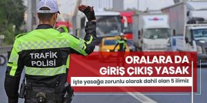 Giriş çıkışın yasak olduğu 31 kente mecburiyetten dahil olan 5 il