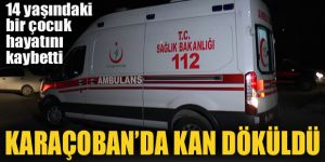 Karaçoban'da çocukların oyununda kan döküldü