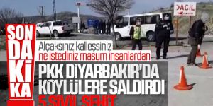 Diyarbakır'da PKK'lı teröristler köylülere saldırdı: 5 şehit
