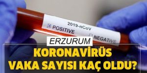 Erzurum'da koronavirüsten kaç kişinin hayatını kaybettiği belli oldu