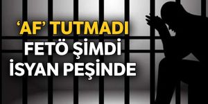 ‘Af’ tutmadı, FETÖ şimdi isyan peşinde