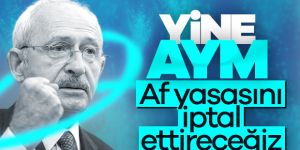 CHP, infaz düzenlemesini AYM'ye götürüyor