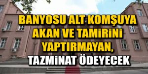 Yargıtay'dan önemli karar: Banyosu alt komşuya akan ve tamirini yaptırmayan tazminat ödeyecek