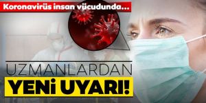 ABD'li uzmanlar yeni bulgulara rastladığını iddia etti!