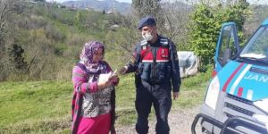 1000 TL nakdi destek ödemeleri başladı