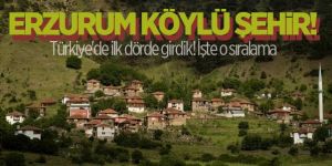 Erzurum en çok köyü olan dördüncü şehir