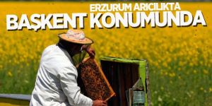 Erzurum arıcılıkta başkent konumunda