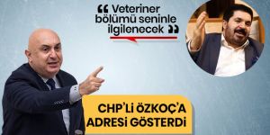 Savcı Sayan CHP'li Engin Özkoç'a baytarı adres gösterdi