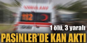 Hayvan otlatma kavgası kanlı bitti: 1 ölü, 3 yaralı