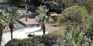 Bodrum'da yakılacak denilen Dodo Beach’in, yerli yerinde duruyor!