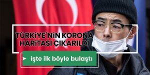 Türkiye'nin ilk Covid-19 haritası çıkarıldı: Hastalarının yüzde 54,7'si erkek