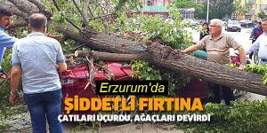 Erzurum'da şiddetli rüzgar çatıları uçurdu, ağaçları devirdi
