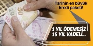 Kamu bankalarından 4 yeni kredi paketi