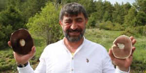 Erzurum'da Kasa kasa mantar topladılar