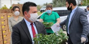 Başkan Aras Güvercinlik, Mumcular ve Yalı Çiftlik'te inceleme yaptı
