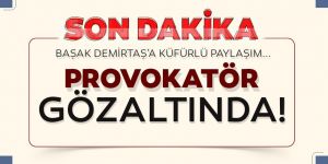 Başak Demirtaş'a küfreden provokatör gözaltına alındı
