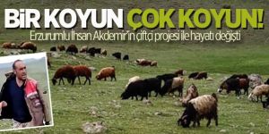 Erzurumlu çiftçinin başarı hikayesi