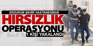 Erzurum'da suçüstü yakalanan zanlı tutuklandı