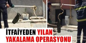 Erzurum'da Bir mahallenin yılan seferberliği