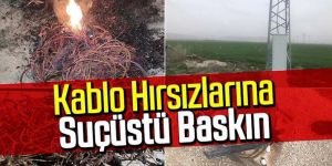 Tortum'da Bakır kablo hırsızları suçüstü yakalandı