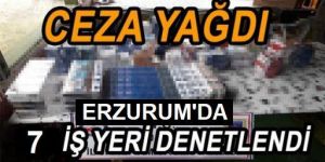 Erzurum'da 7 işyerine para cezası