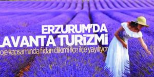 Erzurum'da lavanta turizmi vakti