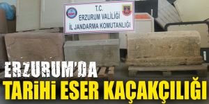 Erzurum'da tarihi eser kaçakçılığı: 1 Kişi tutuklandı