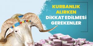 Kurbanlık alırken dikkat edilmesi gerekenler