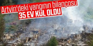 Yusufeli'ndeki yangında 35 ev kül oldu